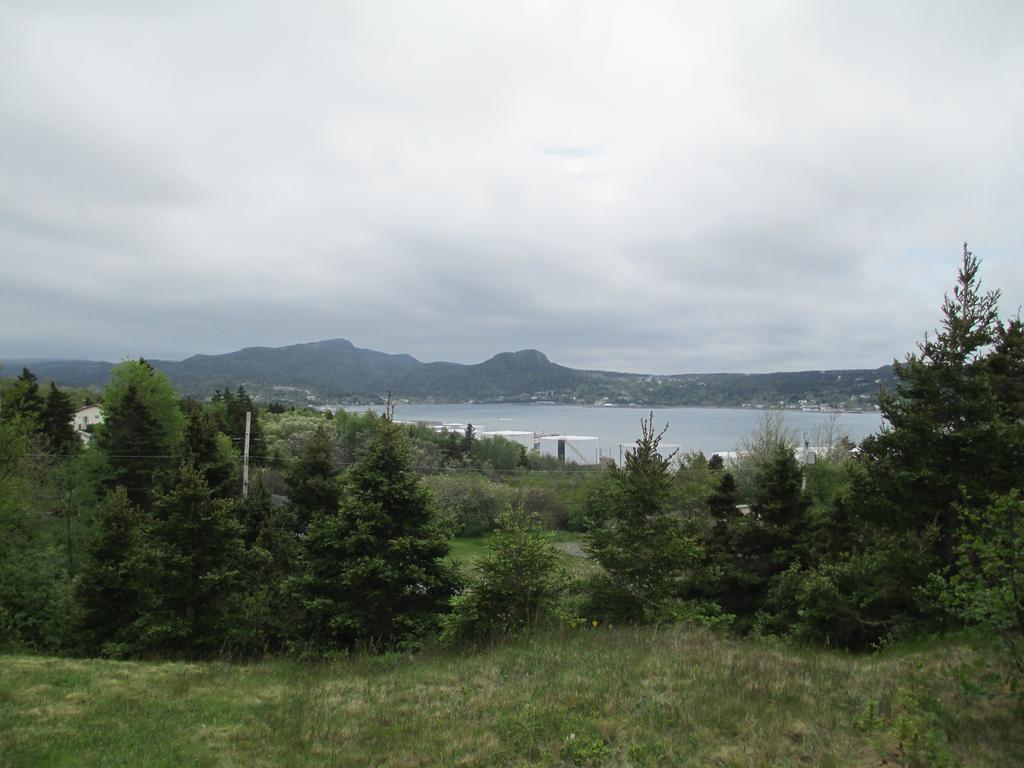 Comerford'S Ocean View Suites Holyrood Exterior foto